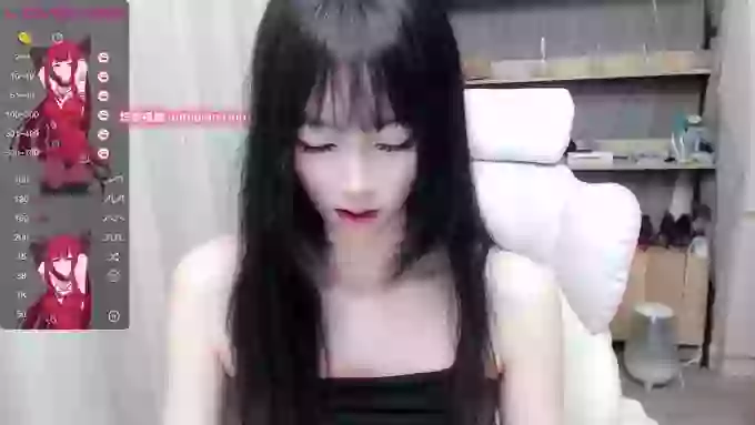 2yun2023z