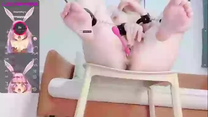 leilei-