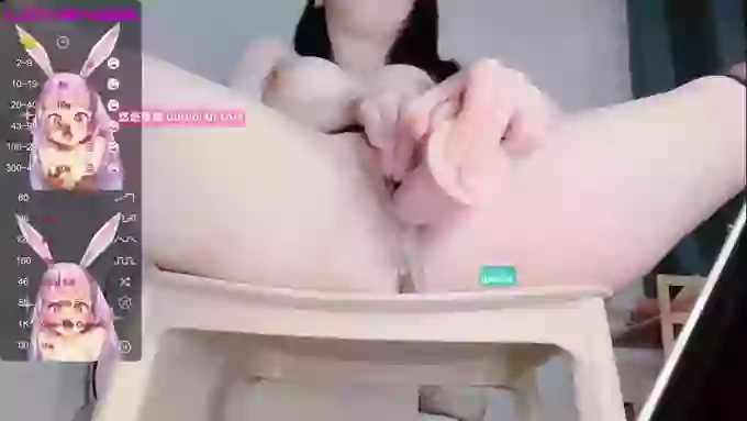 leilei-
