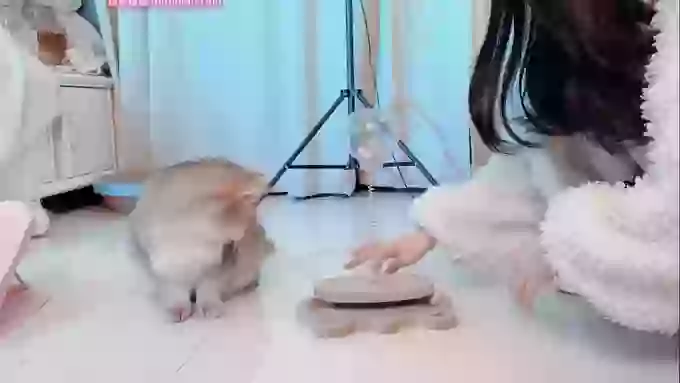 Angela88