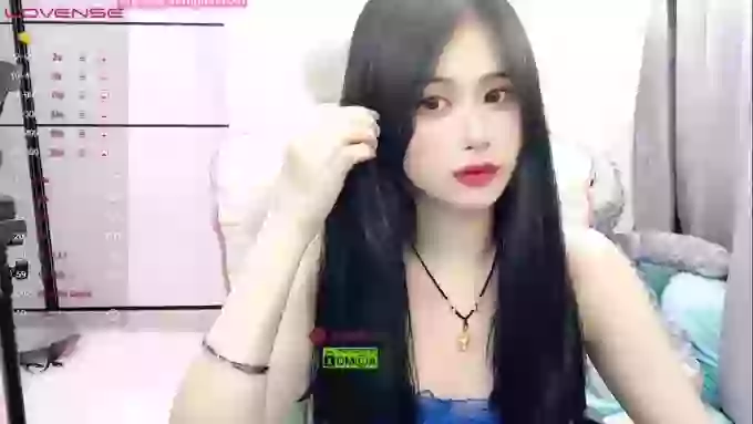 daisy_top