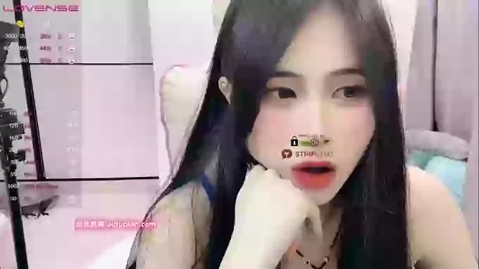 daisy_top