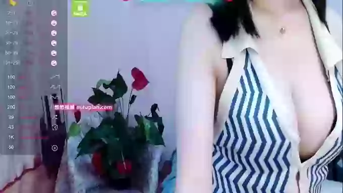 Alisa-C
