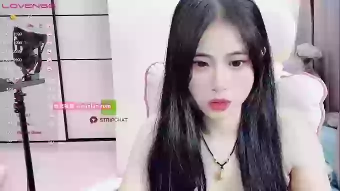 daisy_top