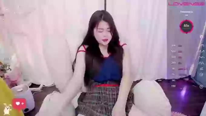 CanCan-666