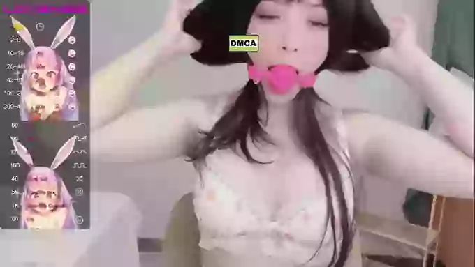 leilei-