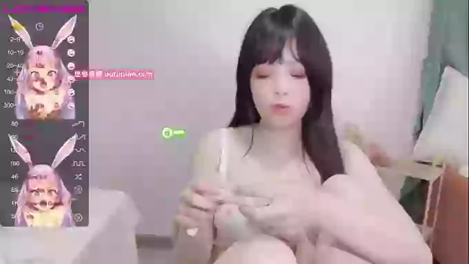 leilei-