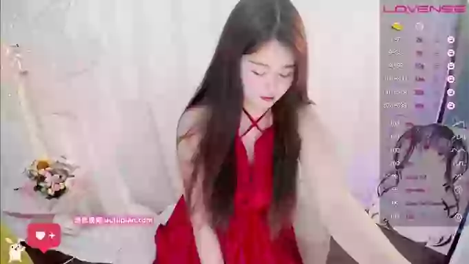 CanCan-666
