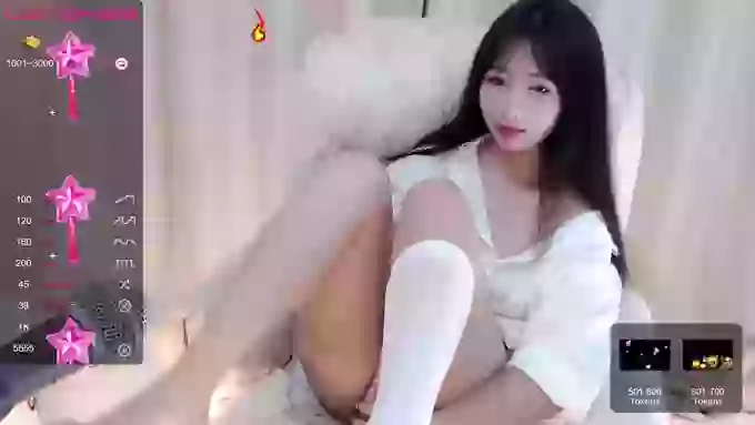CAiHongtutu