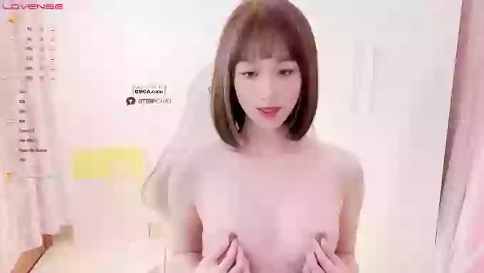 BF_JIAJIA