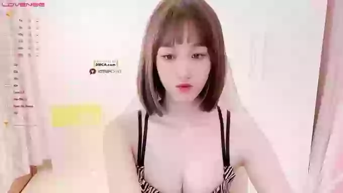 BF_JIAJIA