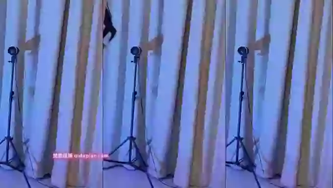 Angela88