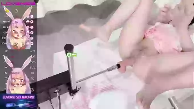 leilei-