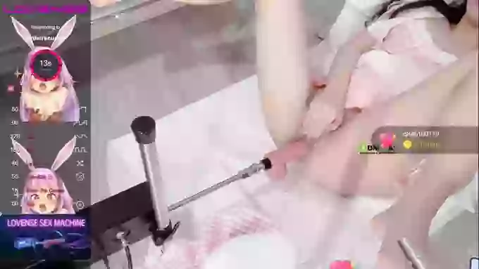leilei-