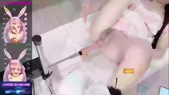 leilei-