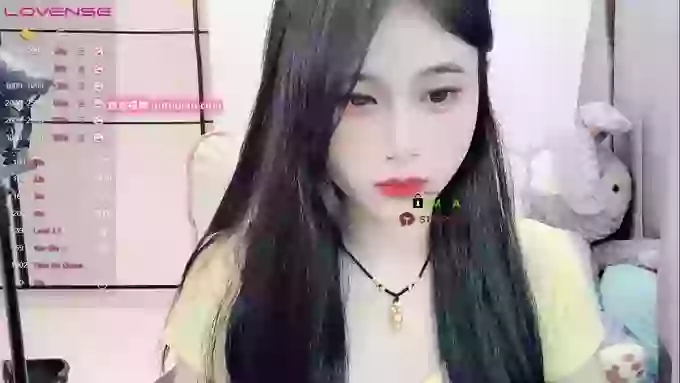 daisy_top
