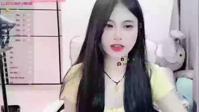 daisy_top