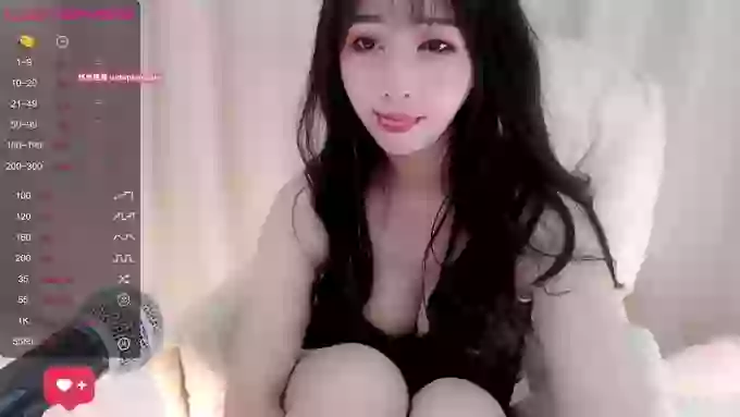 CAiHongtutu