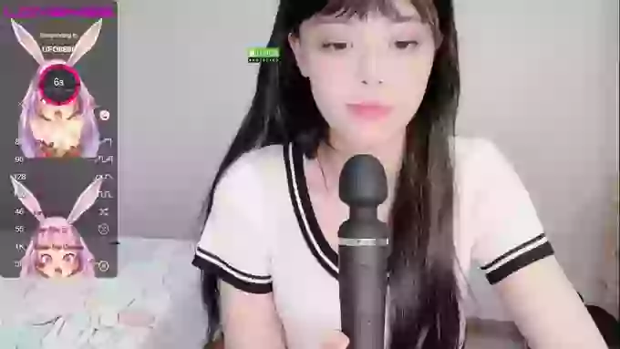leilei-