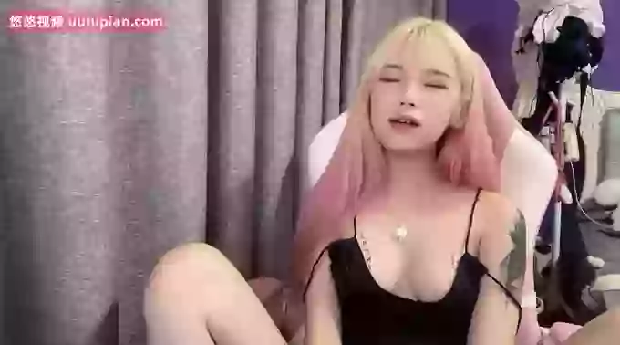 ai_meimei