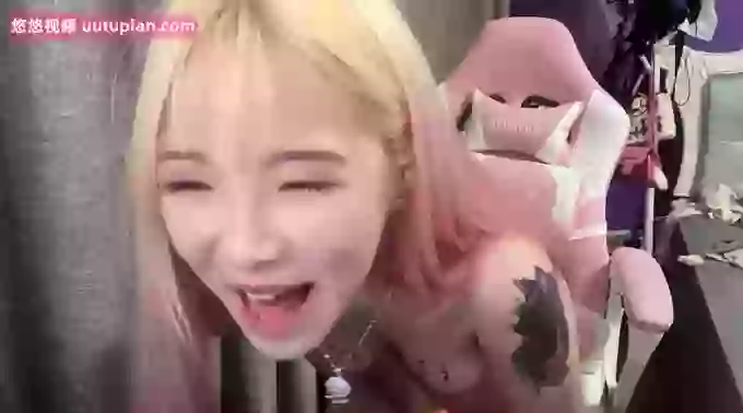 ai_meimei