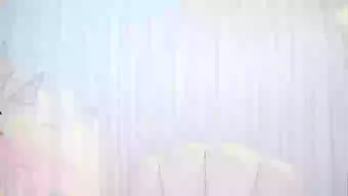 CanCan-666