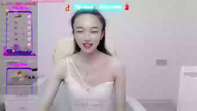 mkk11333
