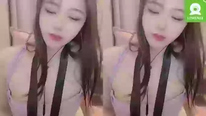 z_xinxin