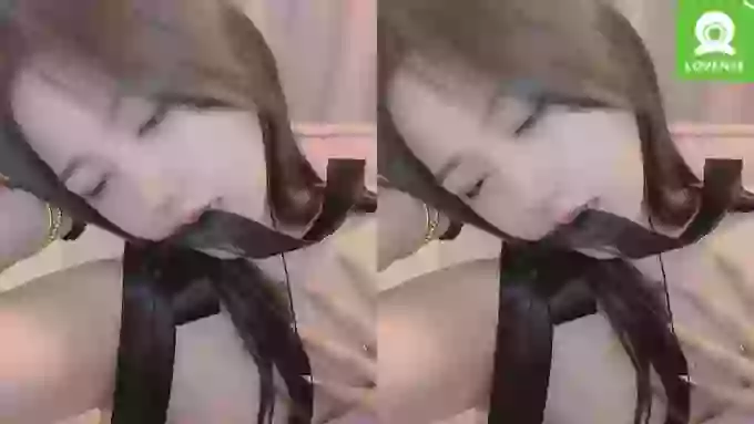 z_xinxin