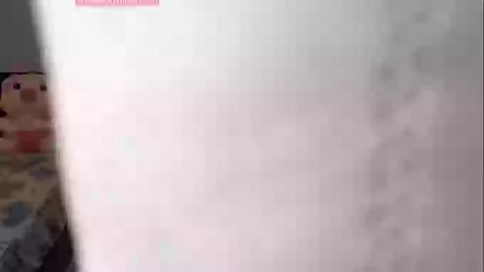 zhu-zhu