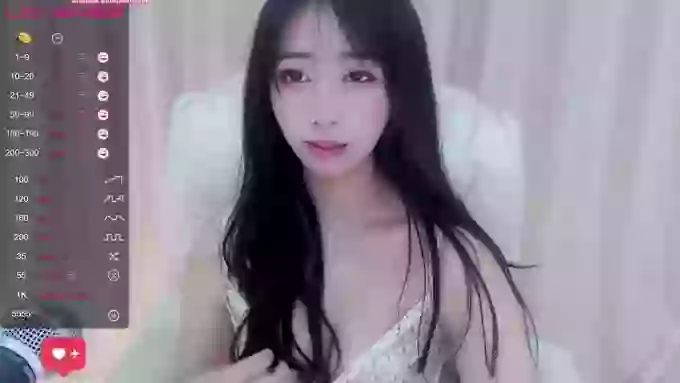 CAiHongtutu