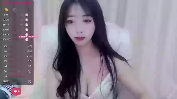 CAiHongtutu