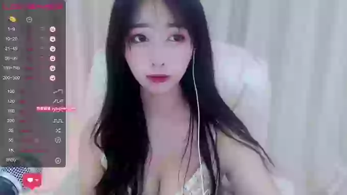 CAiHongtutu