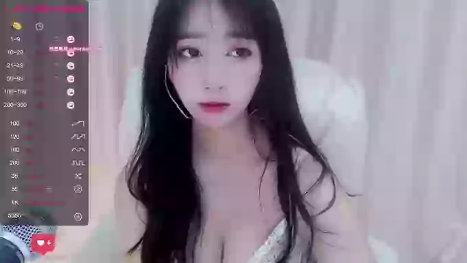 CAiHongtutu