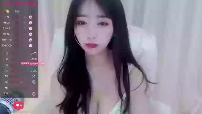 CAiHongtutu