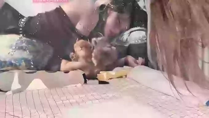Mi-Ke-