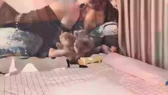 Mi-Ke-