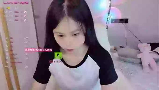 SibylX