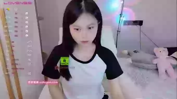 SibylX