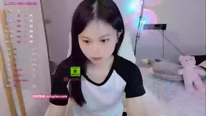 SibylX