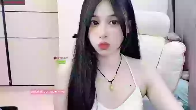 daisy_top