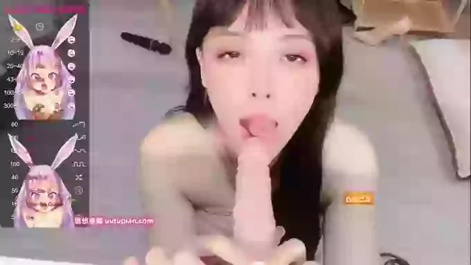 leilei-