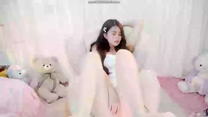 CanCan-666