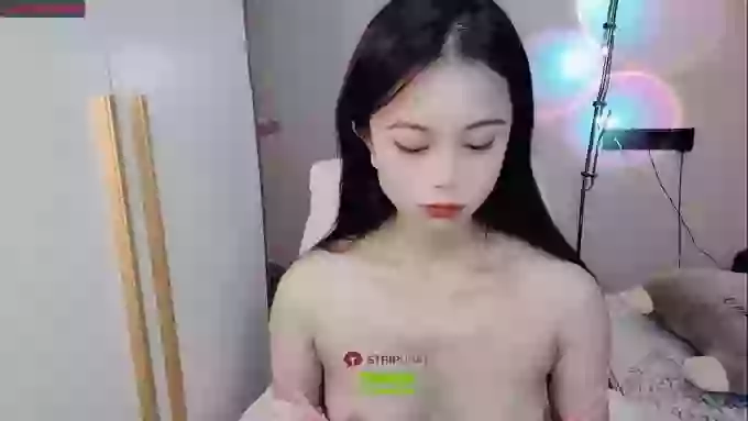 SibylX