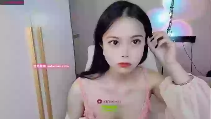SibylX
