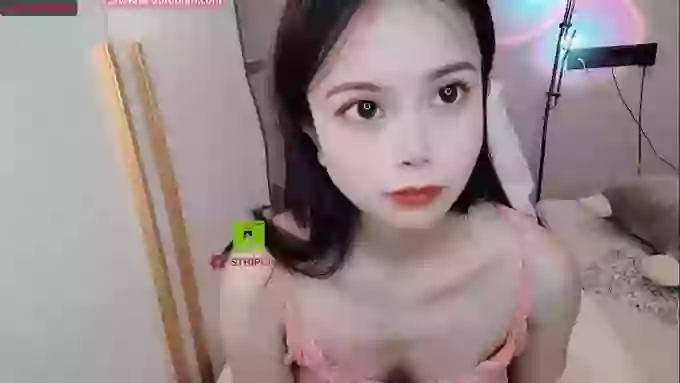 SibylX