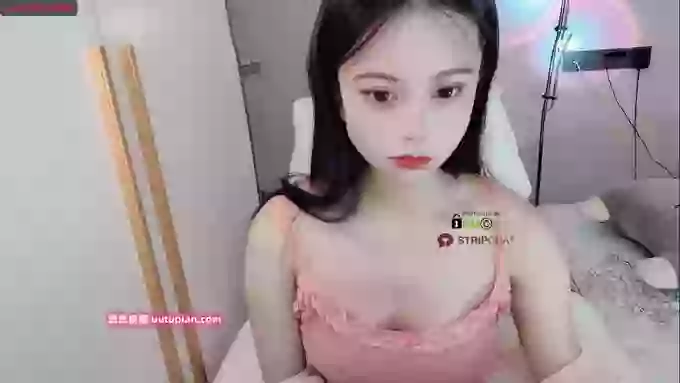 SibylX