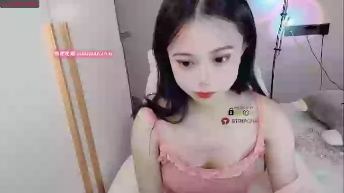 SibylX