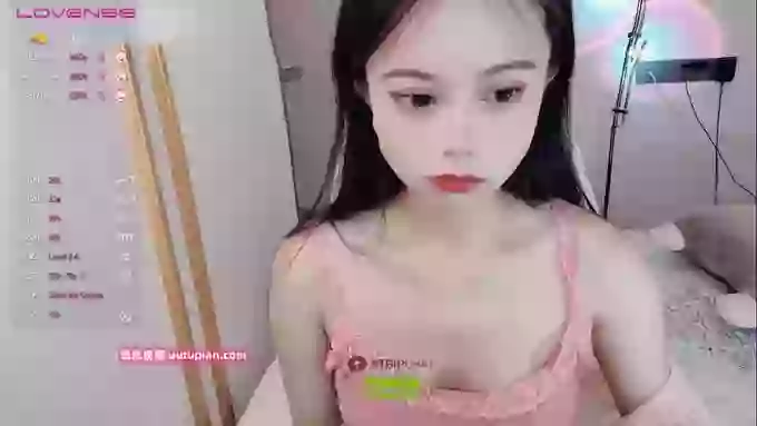 SibylX