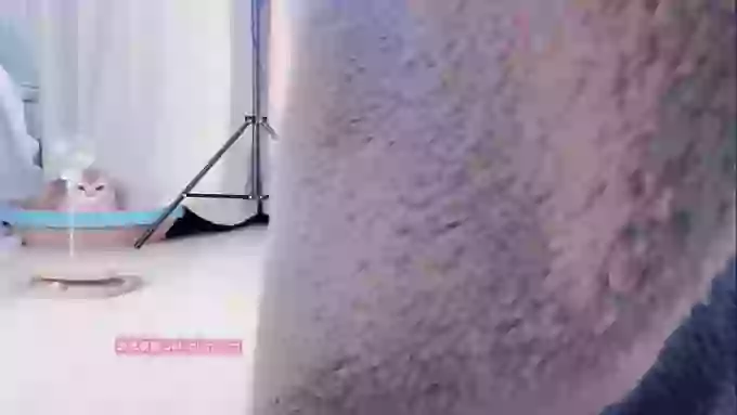 Angela88